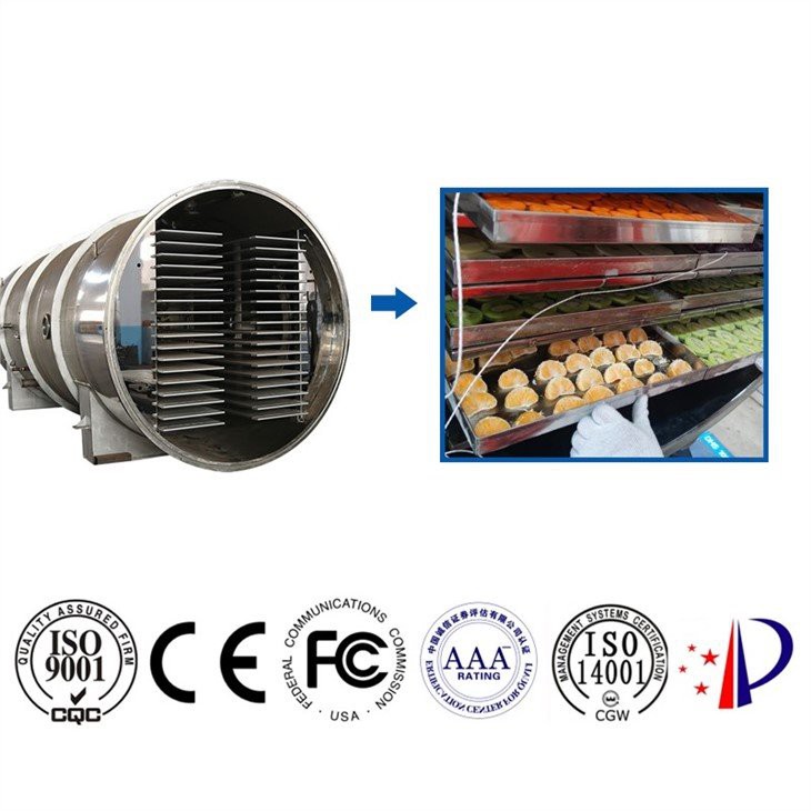 Food Freeze Dryer