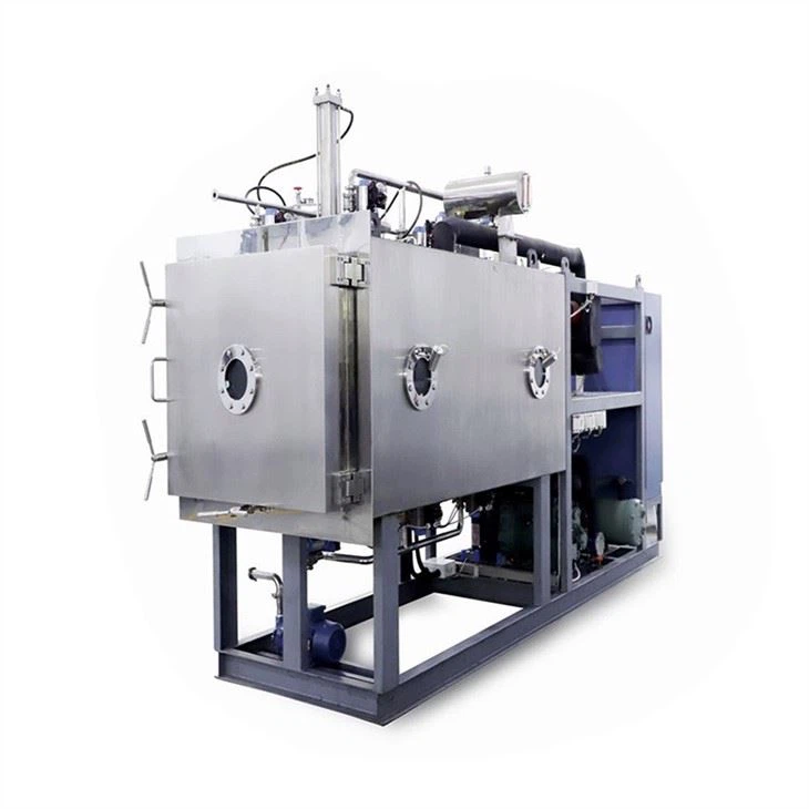China Pharmaceutical Freeze Dryer wholesale